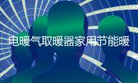 电暖气取暖器家用节能暖风机小型卧室速热省电客厅神器壁炉大面积