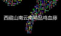 西藏山南云南精品鸡血藤金刚藤粗黑藤藤镯男女情侣饰品手镯礼物